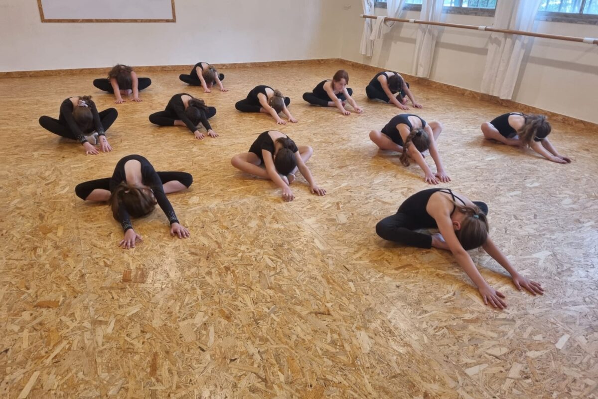 e53afb5e-ed62-4fc4-8b8f-8536006efc75